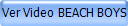 Ver Video BEACH BOYS